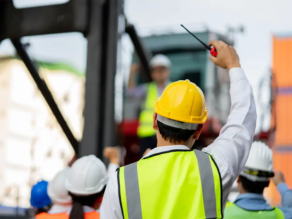 Saha denetimleri hizmeti